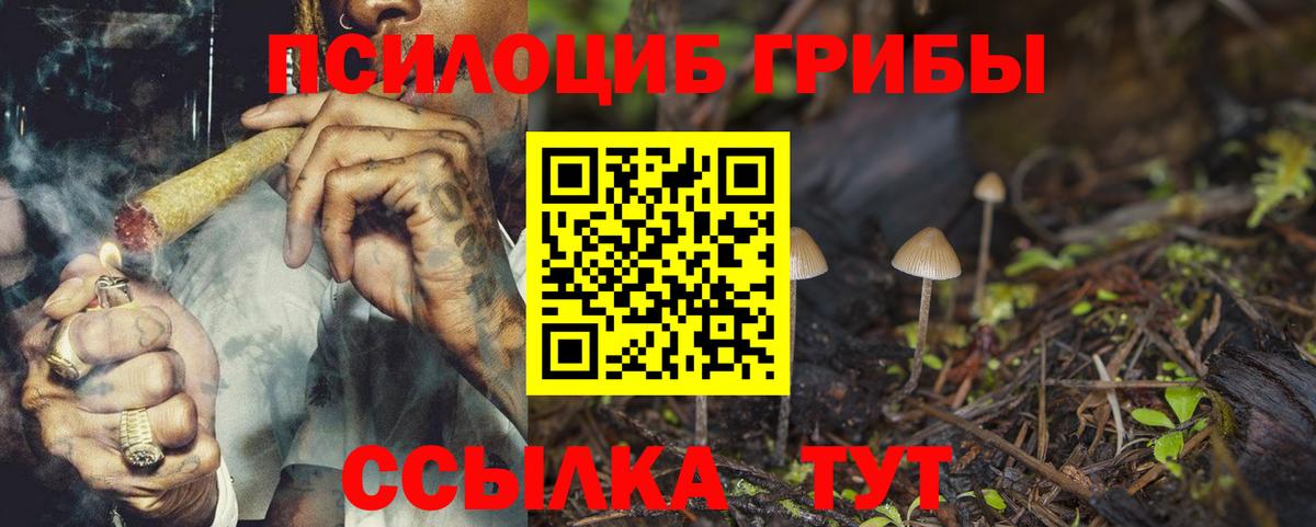 Галлюциногенные грибы прущие грибы  Вход с VPN  Абинск  Галлюциногенные грибы GOLDEN TEACHER 